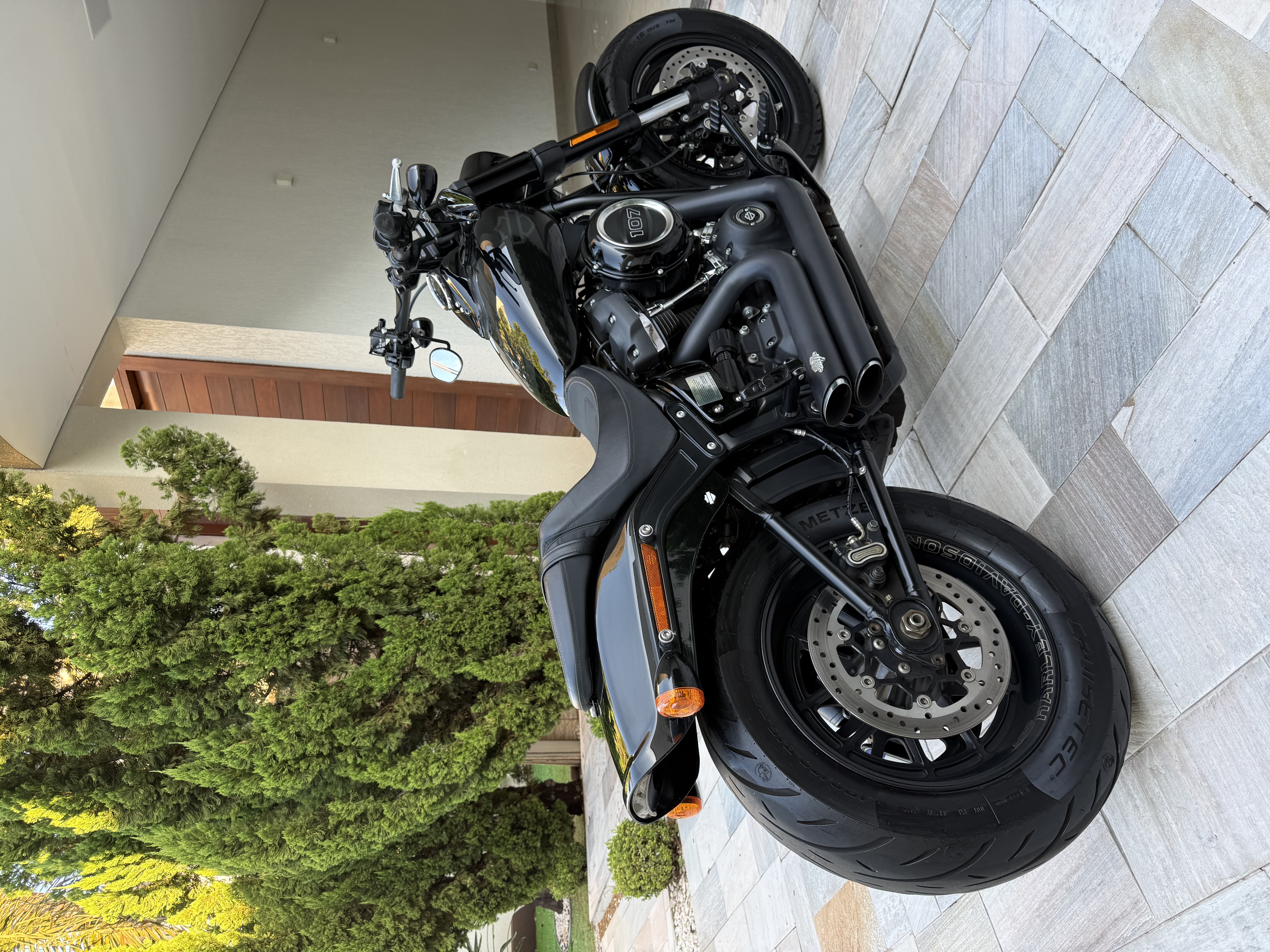 Fat Bob
